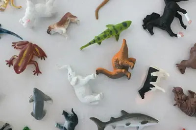 Heure du conte 0-4 ans "Les animaux du monde"