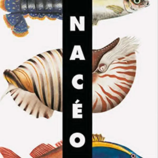 Poissons méli-mélo